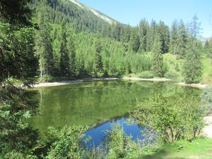 Höfer See Tannheimer Tal  Juli 2026.jpg