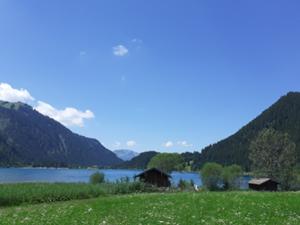 Haldensee Tannheimer Tal Haller Juli 2026.JPG
