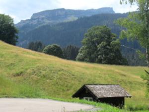 Hoher Ifen Kleinwalsertal  2 Juli 2026.jpg
