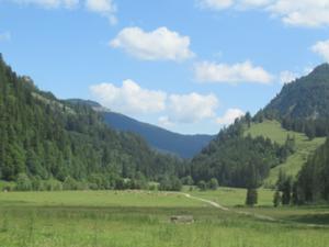 KalbeleAlm Juli 2026Tannheimer Tal.JPG