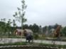Landesgartenschau Leinefelde 1.JPG