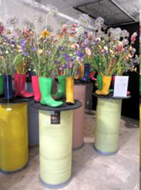 Landesgartenschau Leinefelde 5.JPG
