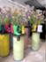 Landesgartenschau Leinefelde 5.JPG