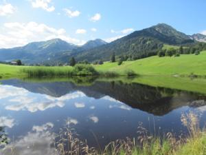 Moorweiher Floschen 1 Juli 2026.JPG