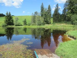 Moorweiher Floschen Juli 2026 Tannheimer Tal.JPG