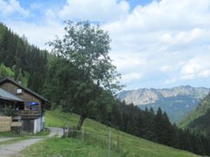 Rundtour Neunerköpfle 7 Tannheimer Tal Juli 2026.jpg
