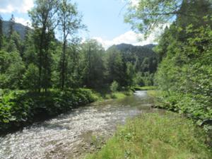 Vils bei Schattwald Juli 2026Tannheimer Tal.JPG