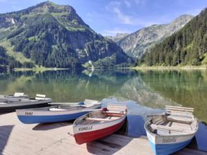 Vilsalpsee 1 Juli 2026.jpg