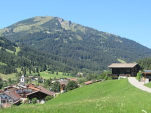 Zöblen Wannenjoch Tannheimer Tal  Juli 2026.jpg