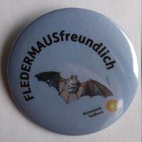 Anstecker Fledermaus Südharz.jpg