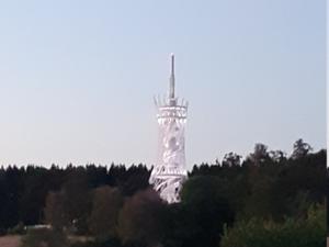 Beleuchteter RiesenHexenbesen Rothesütte 2026.jpg