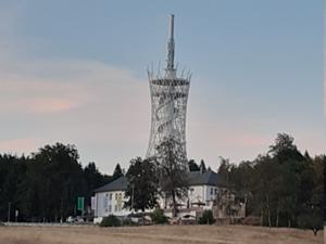 RiesenHexenbesen Rothesütte am Abend 2026.jpg
