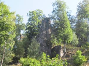 Steinmühlental bei Rothesütte 3 2026.JPG