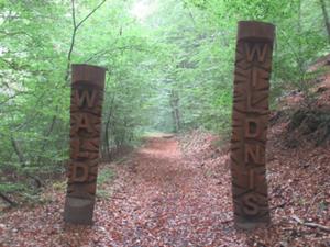 WiegentalWildnisweg 1 August 2026.JPG