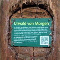 WiegentalWildnisweg 2 August 2026.JPG