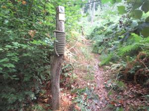 WiegentalWildnisweg 3 August 2026.JPG