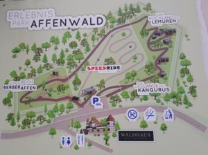 Affenwald Straußberg.jpg