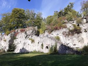 Ruine Scharzfels 2026.jpg