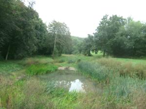 Teich Kleinroda September 2026.jpg