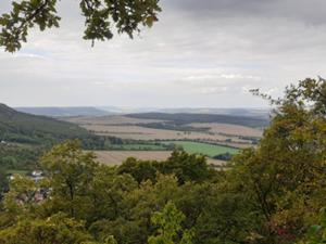 Wöbelsburg 1.jpg