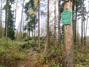 Bieleboh Rumpelsteine Herbst 2026.JPG
