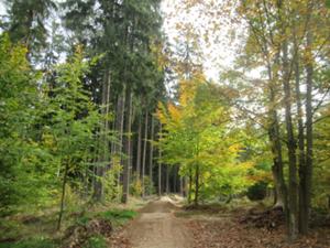 Dymnik 2 Herbst 2026.JPG