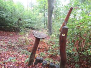 Pumphutsteig Picho 1 Herbst 2026.JPG
