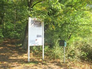 Rastplatz Ulrichsruh Rastenberg Oktober 2026.JPG