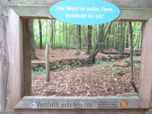 Tausend Teiche 2 Herbst 2026.JPG