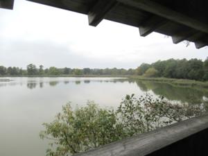 Tausend Teiche 4 Herbst 2026.JPG